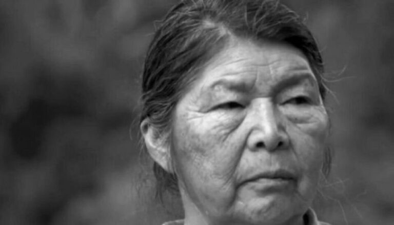 Familia de Julia Chuñil denuncia criminal antecedente en la desaparición de la defensora ambiental mapuche