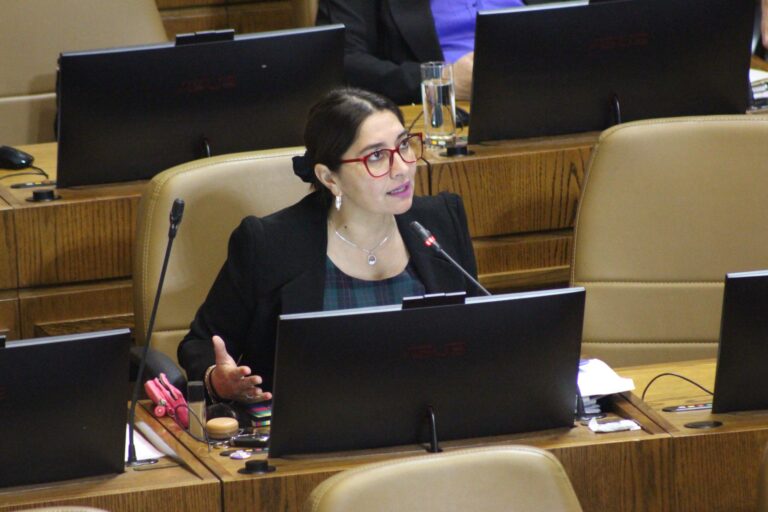 Diputada Castillo emplaza al Partido  Nacional Libertario a cuestionar candidatura de Eric Grohs ante denuncias de violencia intrafamiliar