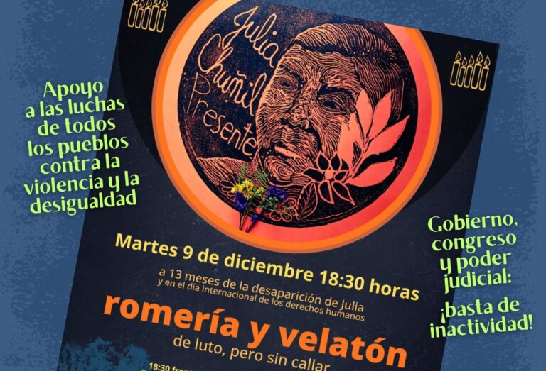 Este martes 9 de diciembre organizaciones de DDHH convocan a romería por Julia Chuñil