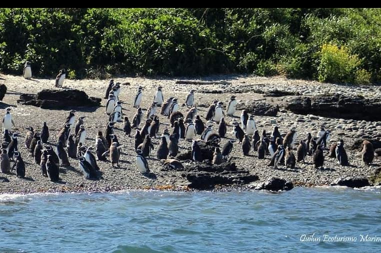 Islote asediado por turistas no tiene protección: piden firmas para convertirlo en santuario natural