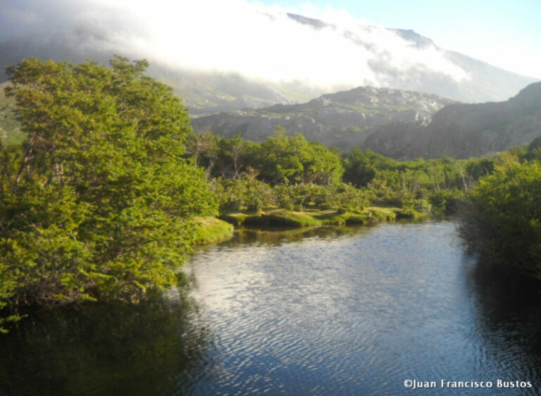 Organización mapuche señala incumplimientos en el proceso de consulta para los reglamentos del SBAP
