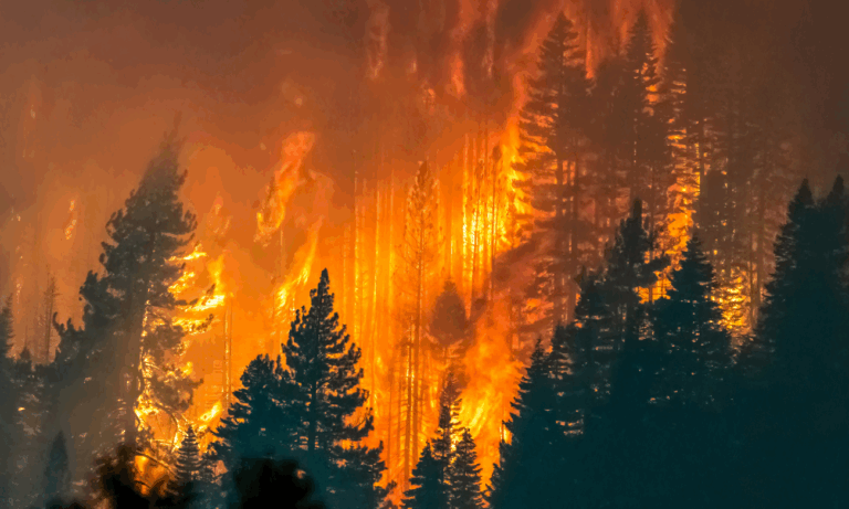 Claves Ipsos: 7 de cada 10 chilenos cree que los incendios del  Biobío y Ñuble fueron intencionales