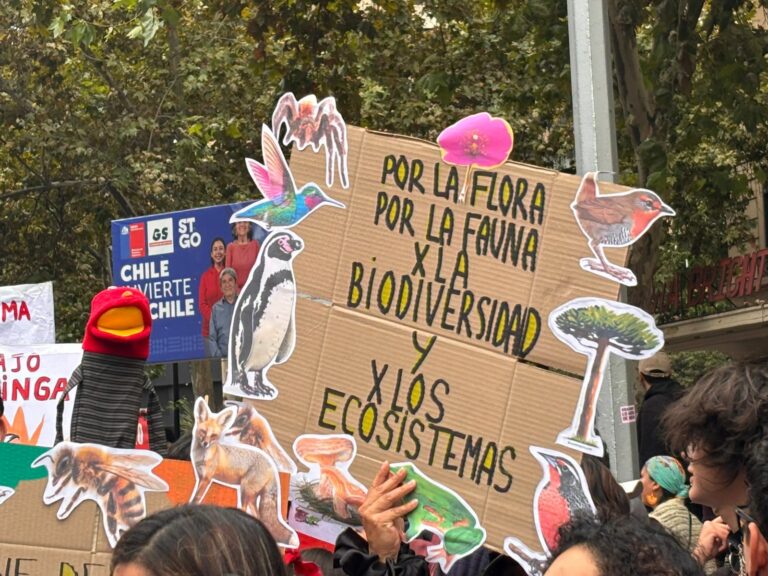 Día Mundial del Agua: Multitudinarias marchas en todo el país contra política medioambiental de Kast