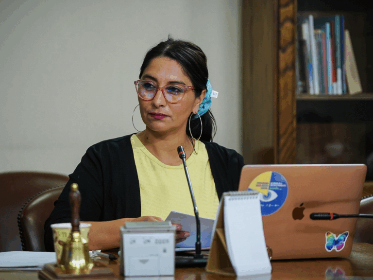 Diputada Castillo apela a legislar y fiscalizar en materia de género: “para que no existan retrocesos”