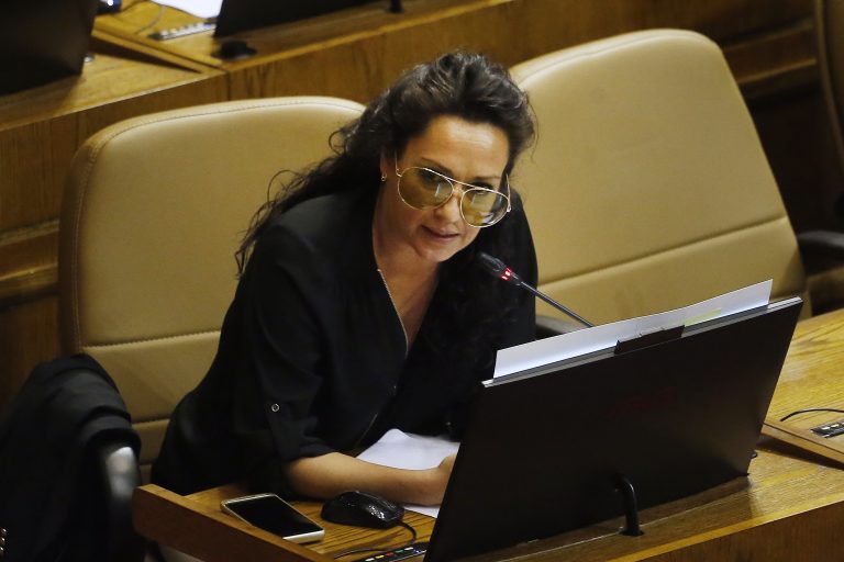 Diputada Santibáñez: “Retirar el reglamento de la ley cholito es una mala señal para el bienestar animal”