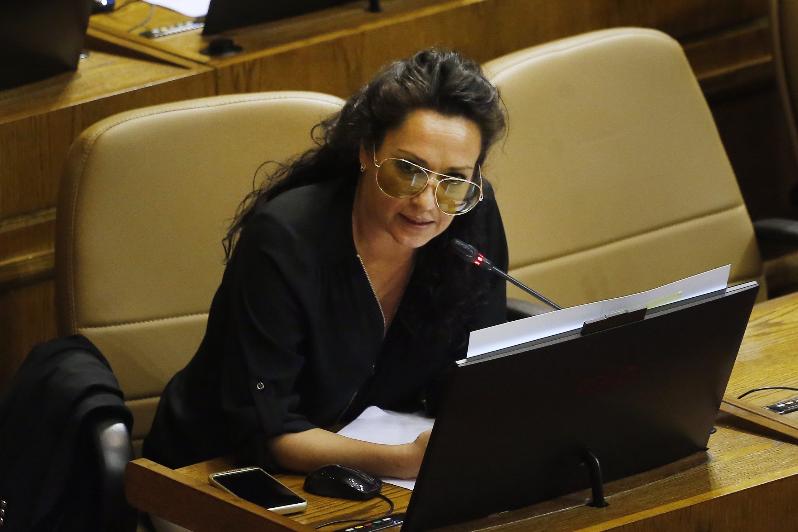 Diputada Santibáñez: “Retirar el reglamento de la ley cholito es una mala señal para el bienestar animal”