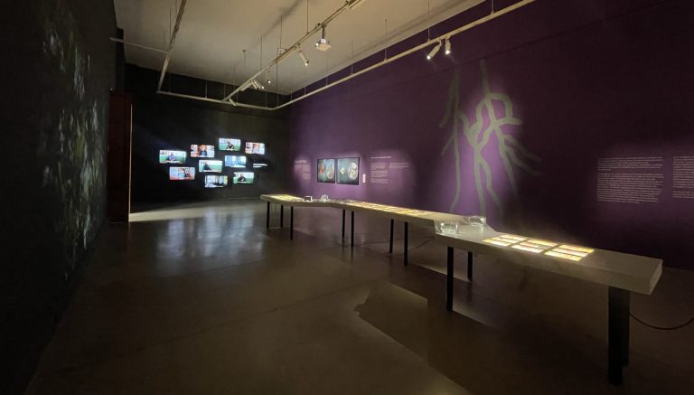 Proyecto Fungi Cosmology se presenta en Santiago con dos muestras interconectadas