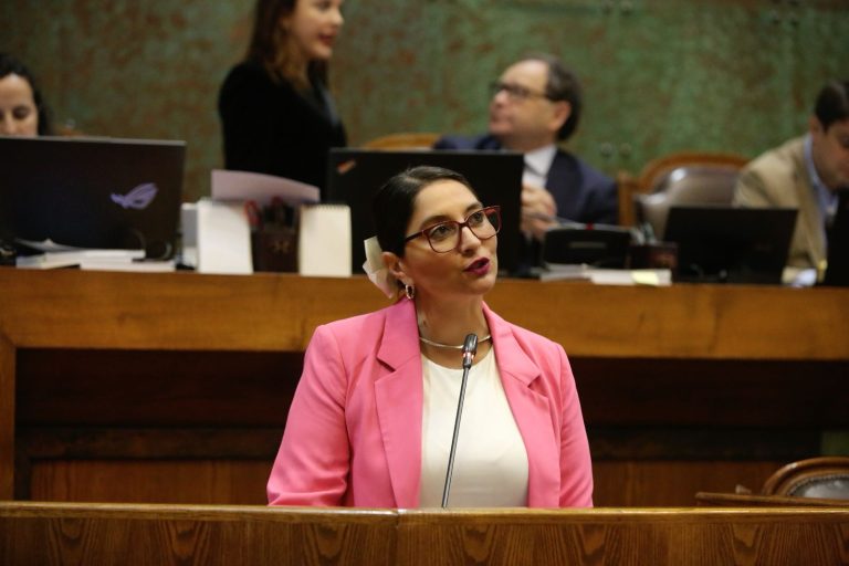 Fiscalización en materias clave marcan el  retorno de Nathalie Castillo al Congreso