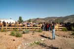 Apicultura regenerativa gana espacio como alternativa productiva en un contexto donde las abejas sostienen el 75% de los cultivos Apicultura regenerativa gana espacio como alternativa productiva en un contexto donde las abejas sostienen el 75% de los cultivos