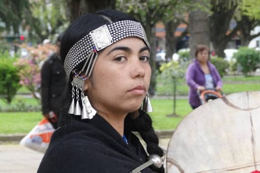 Observatorio para la Protección de los Defensores de Derechos Humanos hace un llamado urgente por Machi Millaray y el Aylla Rehue de Ngen Mapu Kintuante