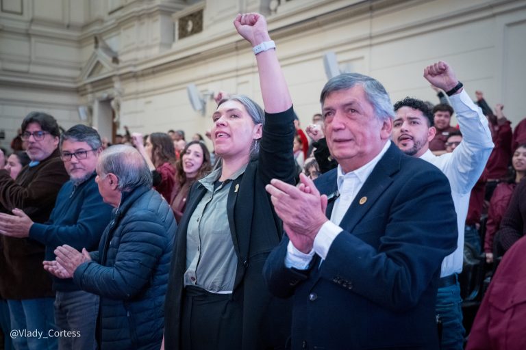 Bárbara Figueroa por fallo del TC: “Un gobierno que dice querer orden lo mínimo es que respete las normas constitucionales”