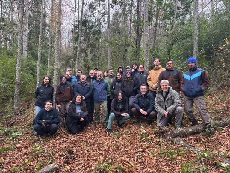Proyecto +Bosques ha beneficiado a más de siete mil   propietarios y familias de bosque nativo en Chile