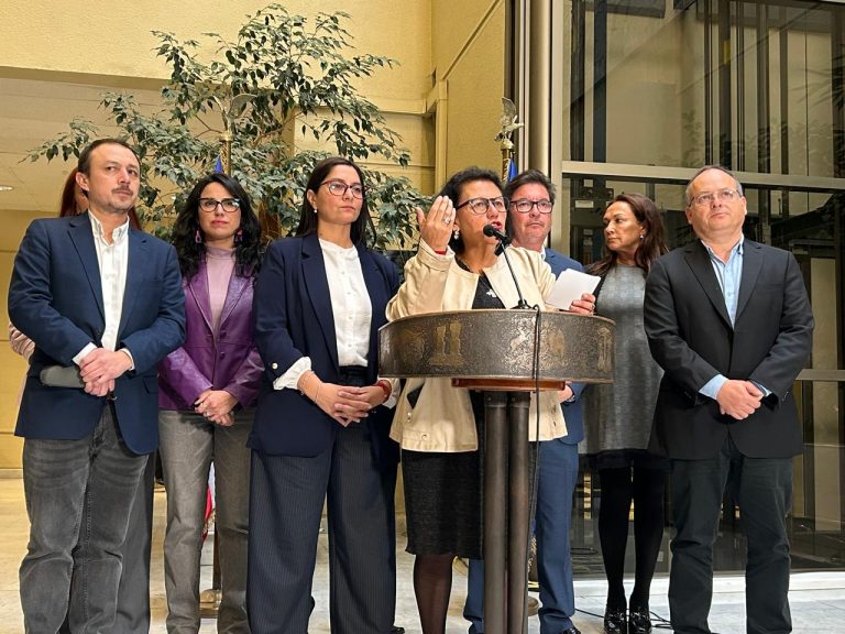 Fin a la impunidad: Diputadas Pizarro y Castillo presentan proyecto para derogar artículos de Ley Naín Retamal