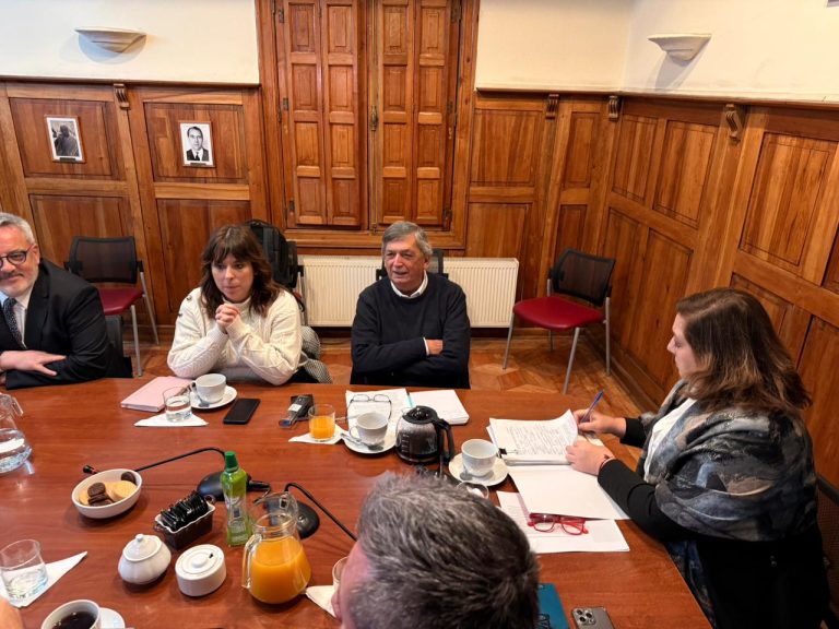 Partidos de oposición anuncian que votaran en bloque contra la idea de legislar la mega reforma