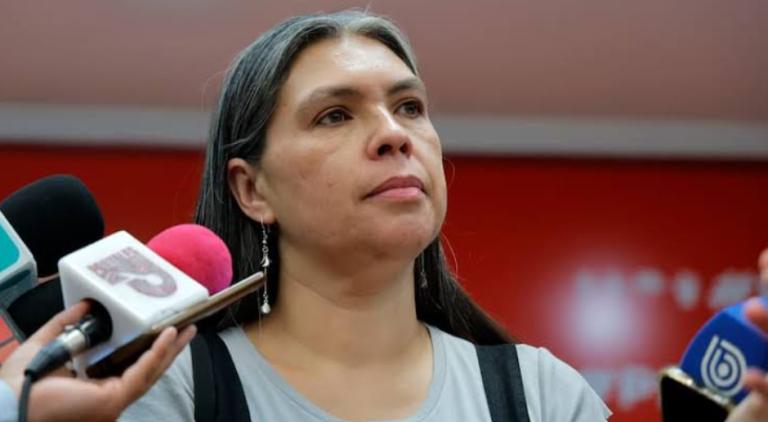 Bárbara Figueroa asegura que “nunca estuvo en cuestionamiento” recurrir al TC por parte de la oposición ante la megarreforma