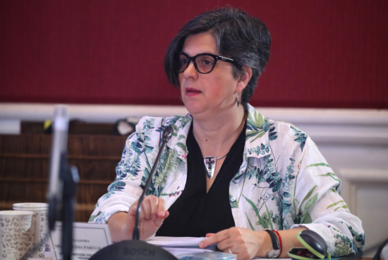 Claudia Pascual por aprobación de megarreforma y temporales: “La pregunta es ¿Con qué recursos vamos a reconstruir”