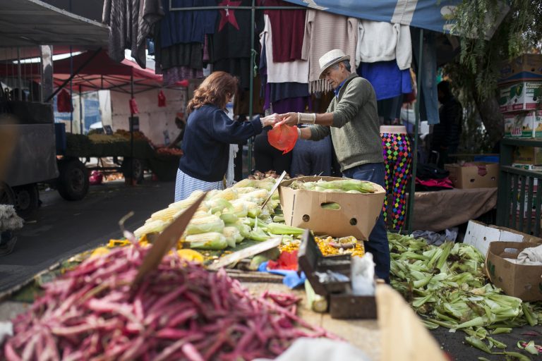 Menos publicidad y alimentos más accesibles: la propuesta U. de Chile para prevenir el cáncer