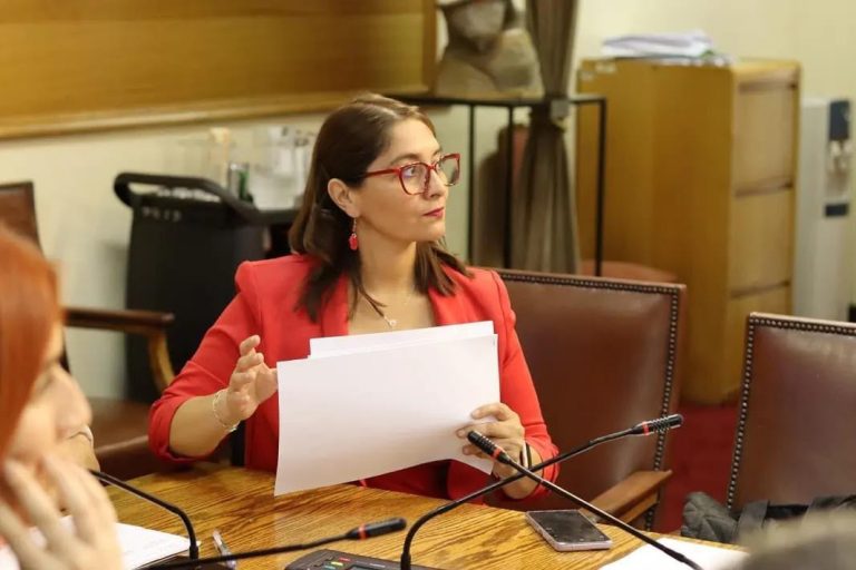 Diputada Nathalie Castillo exige  al SERNAC protección y compensaciones para consumidores afectados por prolongados cortes de luz
