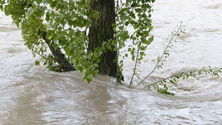 La ciencia explica cómo la lluvia puede hacer colapsar una ladera