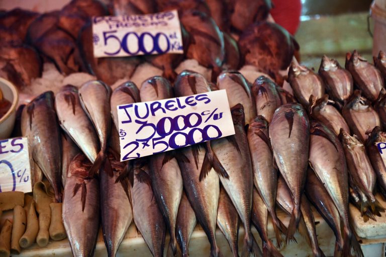 ¿Qué pasa con el jurel? Las pistas detrás de su escasez en Chile y su relación con el fenómeno de El Niño