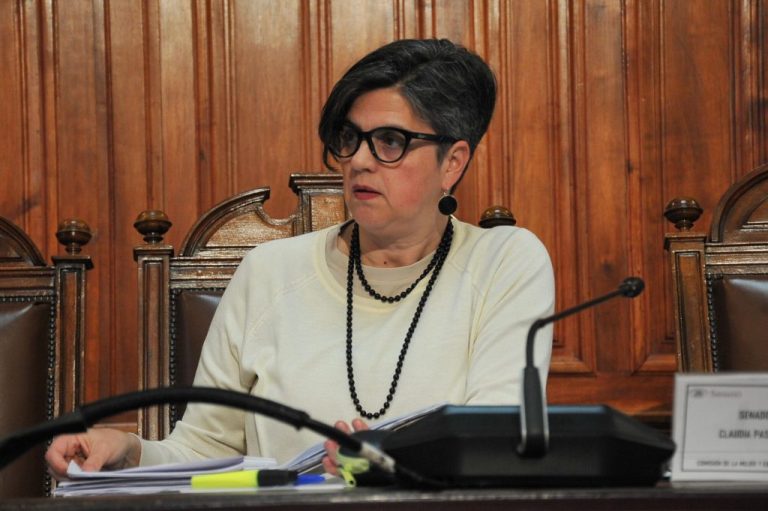 Senadora Claudia Pascual sostiene que reforma constitucional además de autoritaria “no resuelve los problemas de seguridad pública”