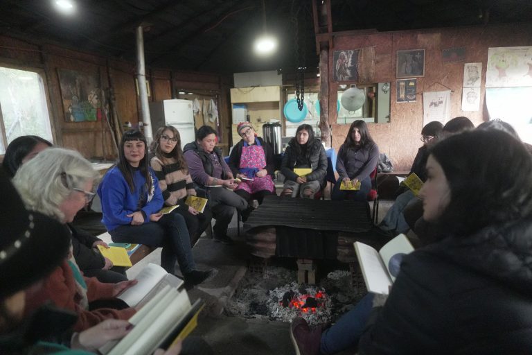 “Poéticas mapuche” inicia ciclos de lectura, creación y encuentros literarios en Valdivia