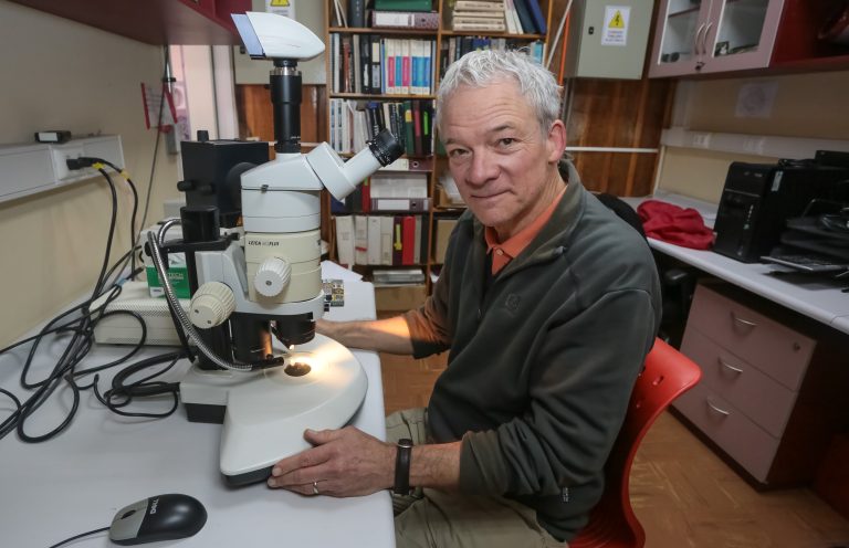 ¿Más sueño en invierno?: Cómo la luz regula el reloj biológico de nuestro cerebro
