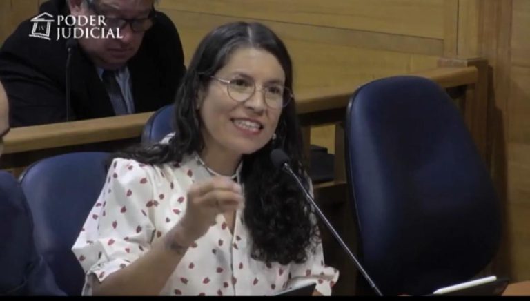 La PDI la seguía y fotografiaba: Defensa de Karina Riquelme presenta amparo por seguimientos policiales en Río Bueno