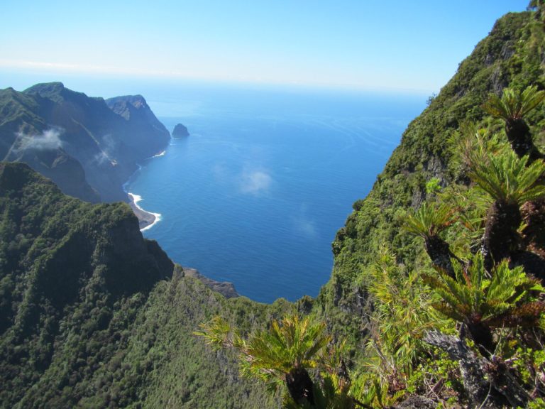 Estudio revela que daños de la pesca de arrastre persisten en los montes submarinos de Juan Fernández