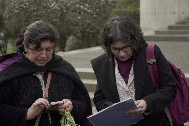 Presentan querella por lesiones: hortalicera mapuche recibió golpes de puño en violento procedimiento municipal en Temuco