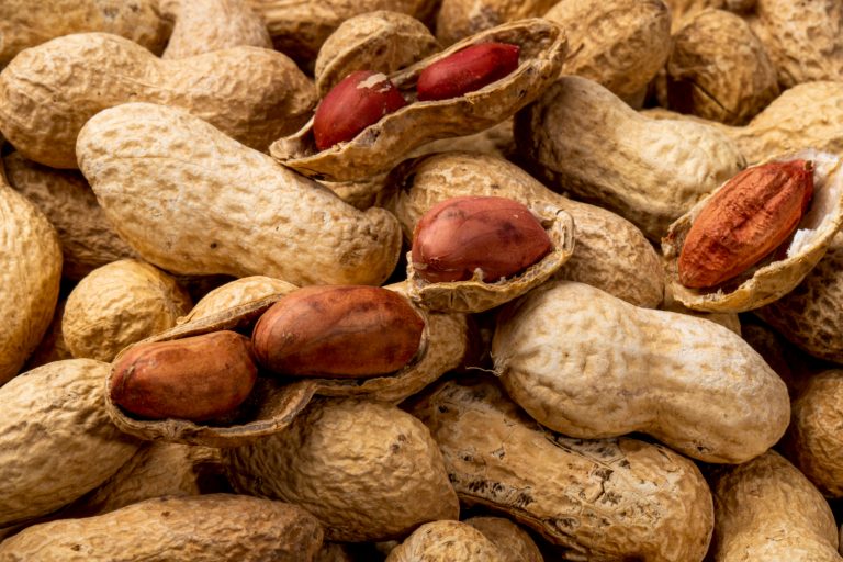 Expertas advierten que la aflatoxina del maní contaminado no se ve, no se huele y resiste la cocción