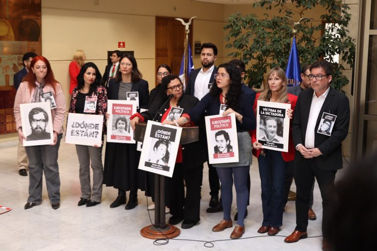 Diputada Pizarro presenta reforma constitucional para garantizar el respeto a los DD.HH. en Chile