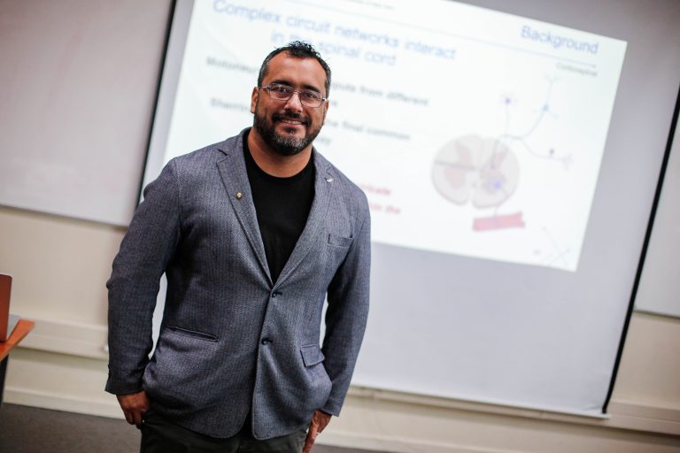 Cómo la correcta modulación de los circuitos neuronales favorece la recuperación del movimiento en sobrevivientes de ACV