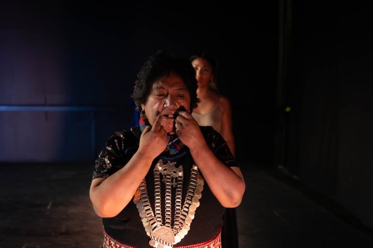 Artistas escénicos de pueblos originarios levantan su primer catastro y encuentro nacional