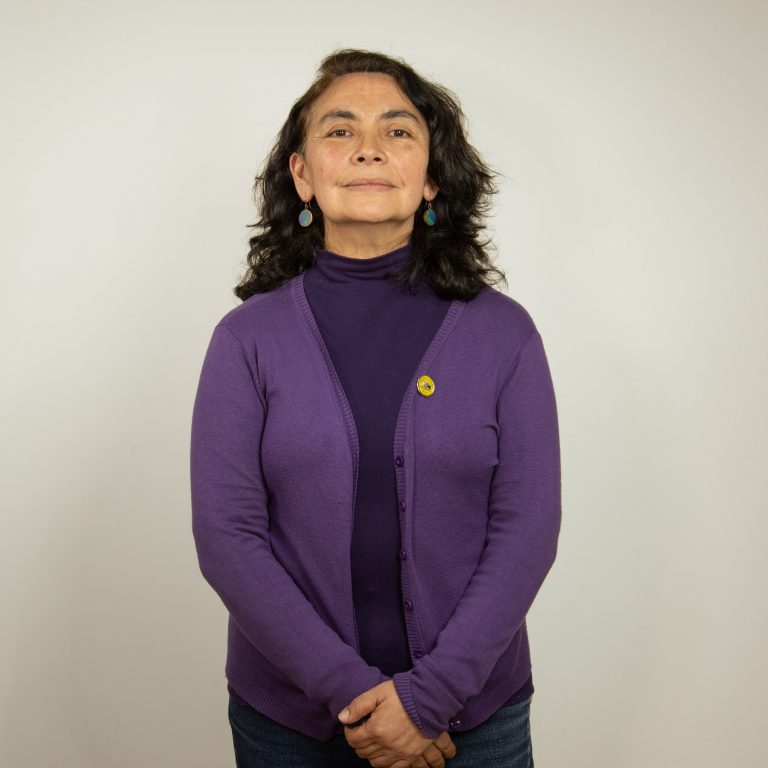 Paulina Cartagena al directorio metropolitano del Colegio de Profesores con foco en defensa de la educación pública y derechos docentes