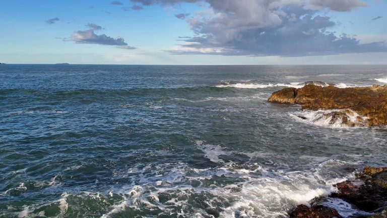 Académico advierte que el cambio climático en el mar favorece enfermedades parasíticas en peces