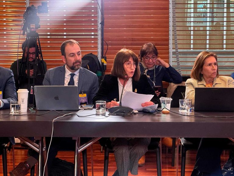 Rectora Mizala defendió el financiamiento para ciencia e investigación de las universidades estatales en el Congreso