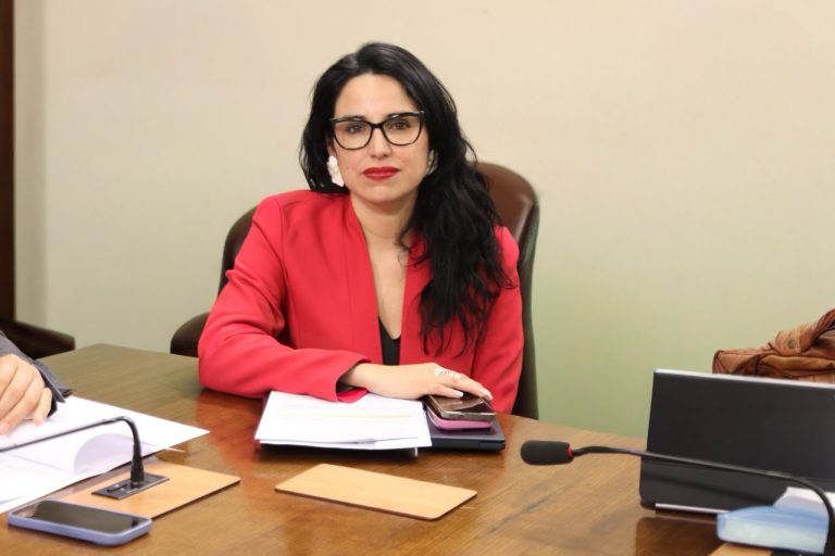 Presentada por el Comité PC e Independientes: Cámara aprueba resolución para que AFP restituyan pérdidas del Fondo E